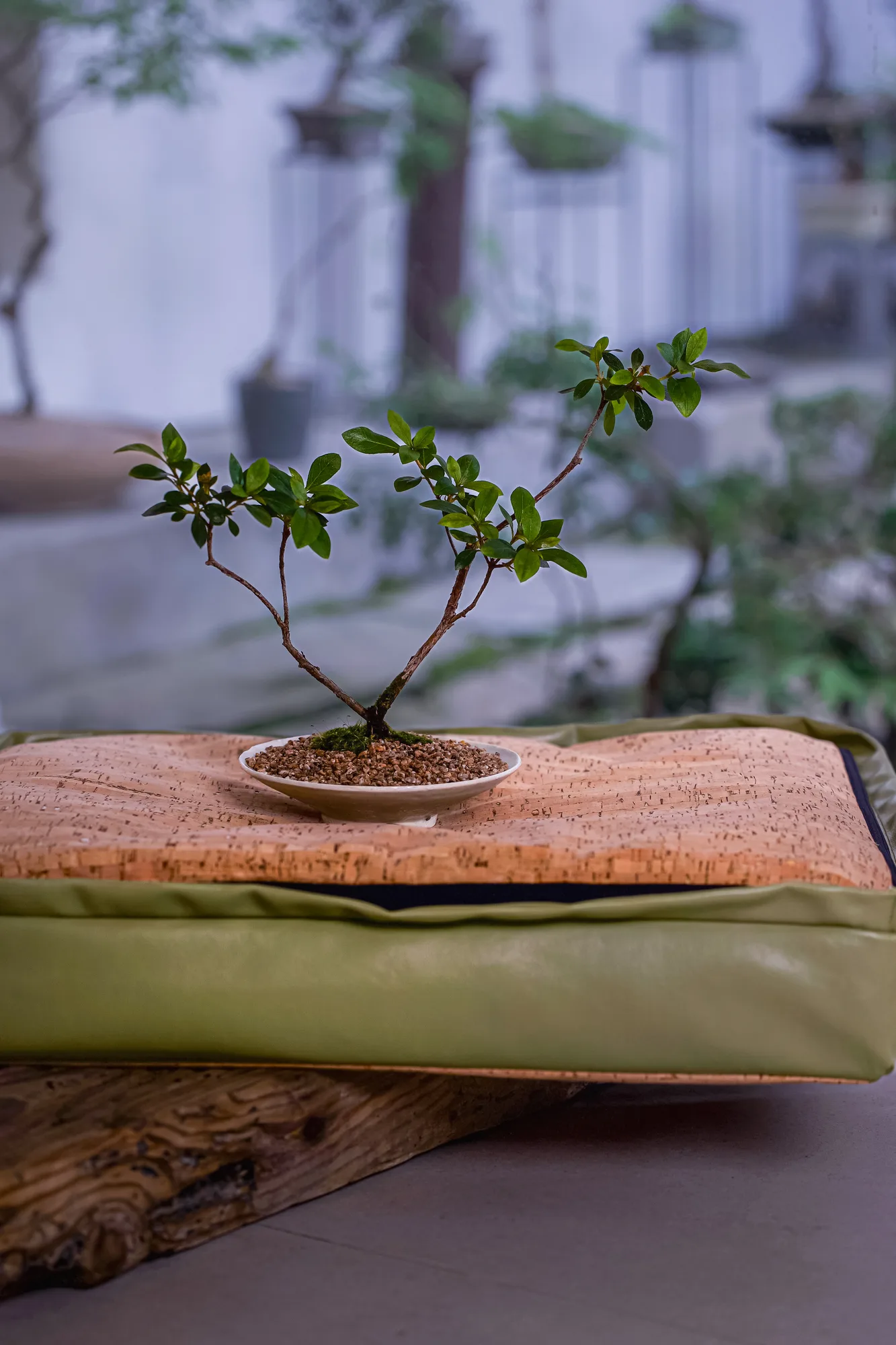SOOM MEDITATION CUSHION 9